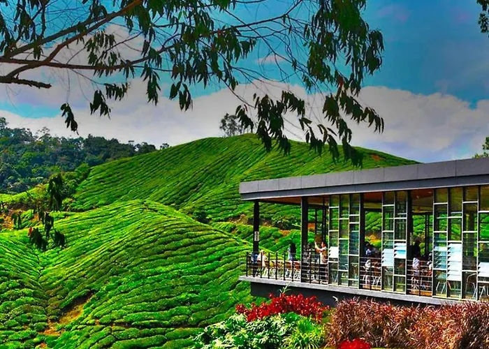 Irdina Homestay At Emerald Avenue Brinchang Centrum
